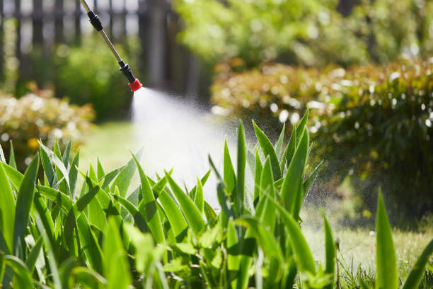 Tamper-Resistant Bait Stations for Rodents in Germantown