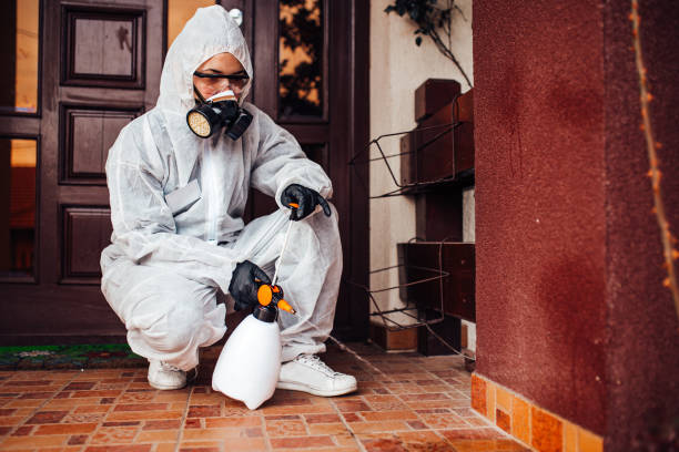 Attic and Crawl Space Rodent Treatment in Germantown