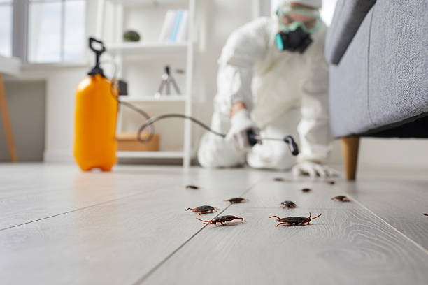 Commercial Rodent Management in Germantown